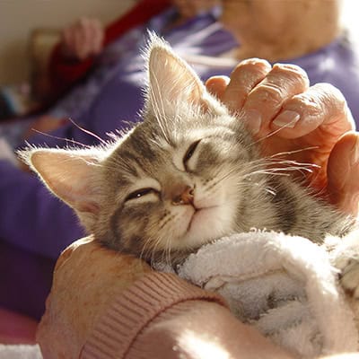 Dermatology Dermatology Services