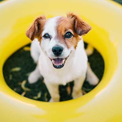 New Client Information