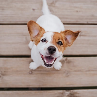 View All Services View All Our Services