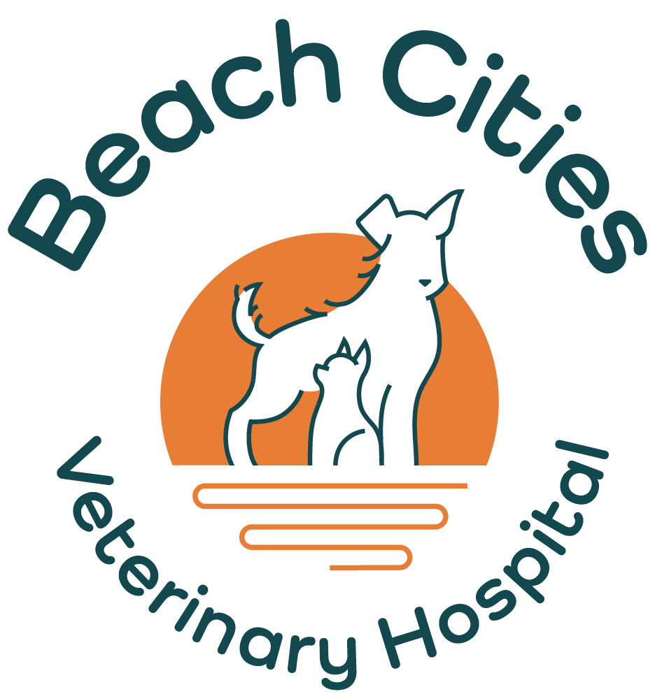 Beach Cities Veterinary Hospital
