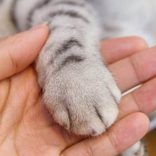 Client Resources Client Resources Here