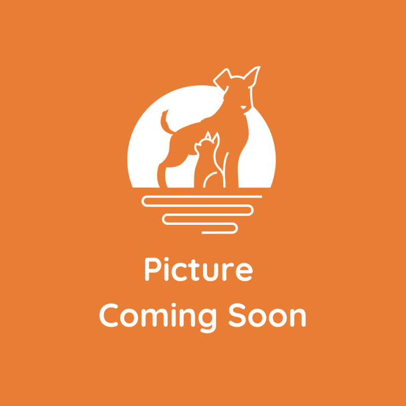 Mark Echavarria, Registered Veterinary Technician